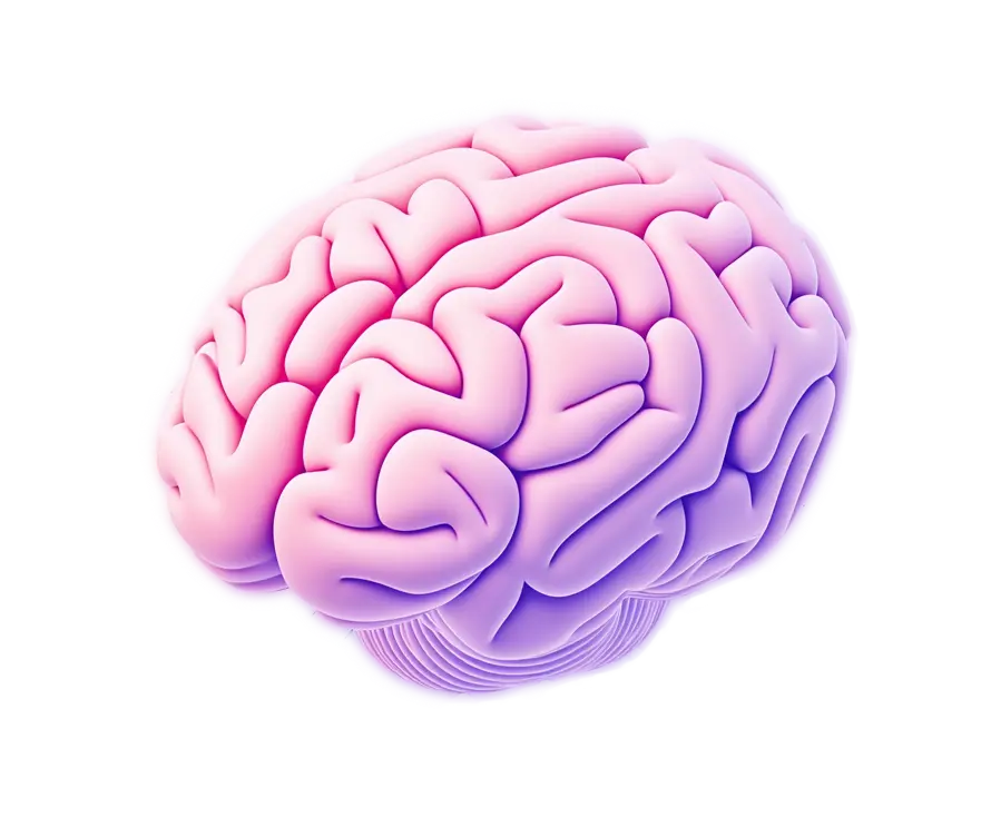 Second Brain Visual
